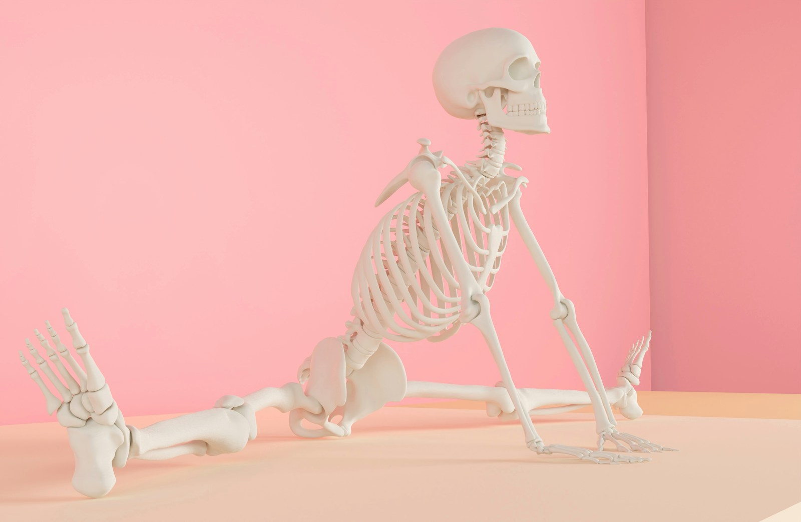 Photo by dada_design a skeleton sitting on the ground in front of a pink wall